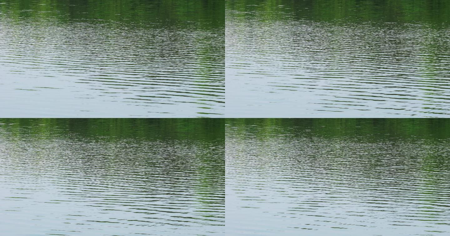 4K绿色湖面水面倒影涟漪04
