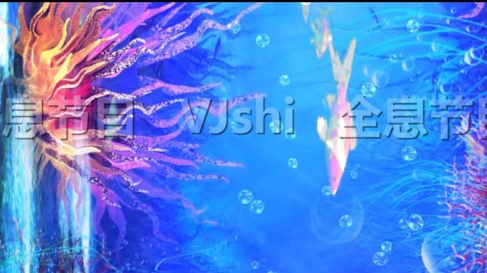 8K循环珊瑚鱼群视频素材