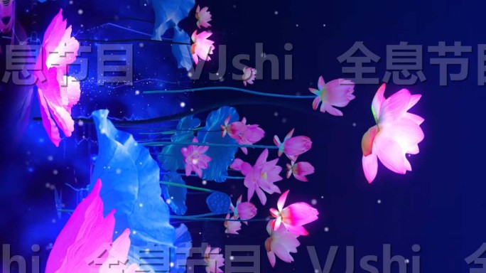 原创8K循环梦幻荷花