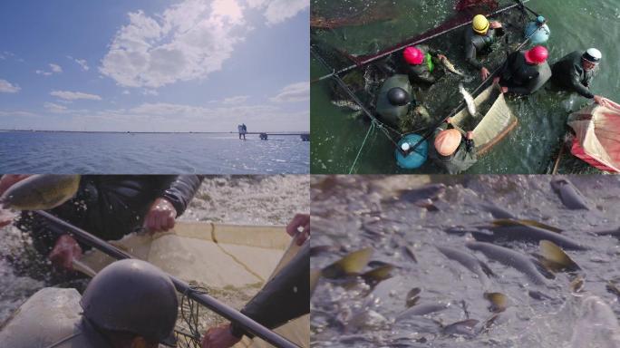 捕鱼，养殖，渔民（4K)