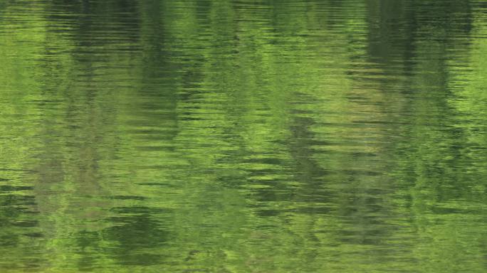 4K绿色湖面水面倒影涟漪02