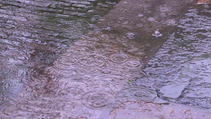 百花洲景区下雨水滴特写4K