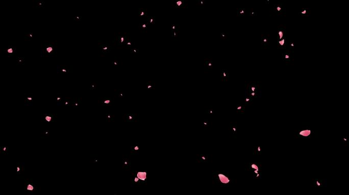 4K粉红花瓣飘落