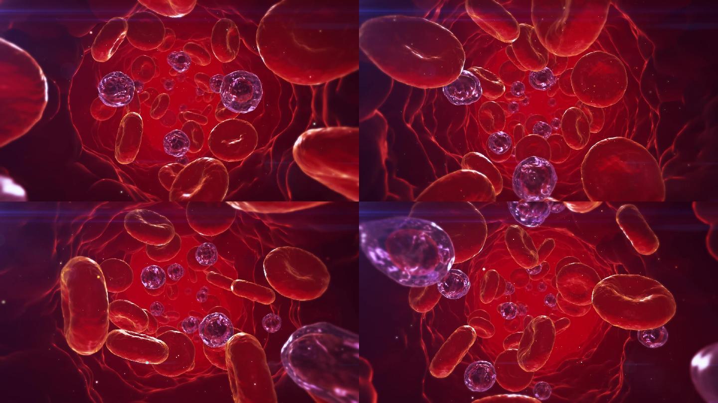 血管红细胞病毒入侵血管