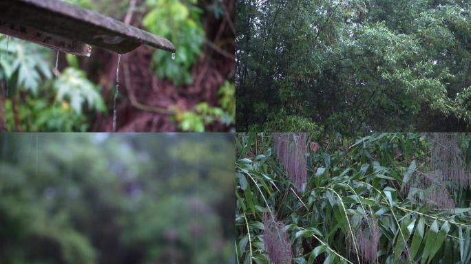 春雨下雨雷雨梅雨季节