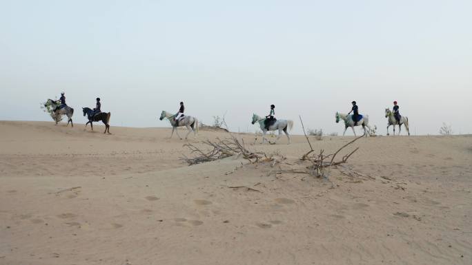 迪拜沙漠风光戈壁马帮骑马赛马航拍4K