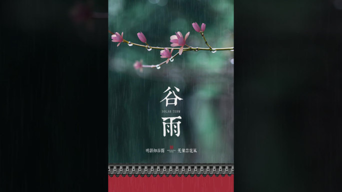 谷雨竖版小视频