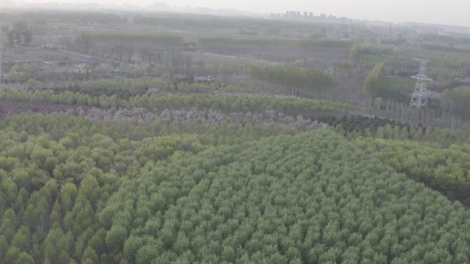 4K航拍生态森林
