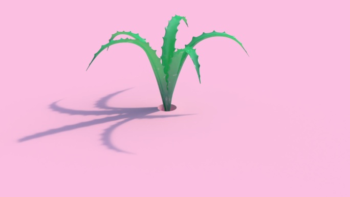 芦荟植物生长logo