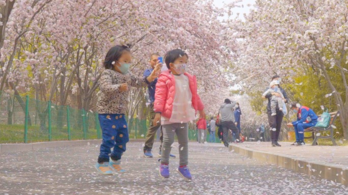 春天樱花树下玩耍的孩子-小朋友玩耍花瓣雨