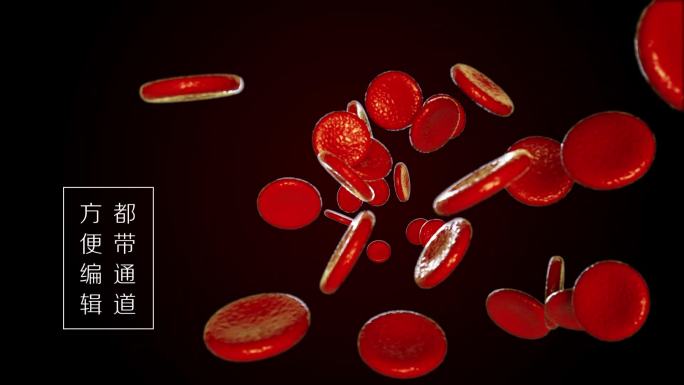 高清血液流动红细胞流动血管ae模板