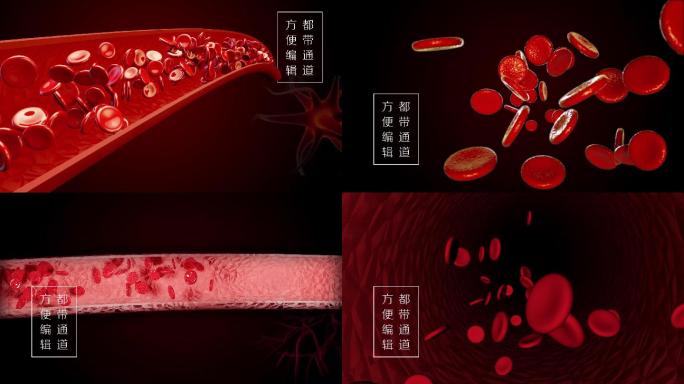 高清血液流动红细胞流动血管ae模板