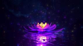 莲花背景视频素材下载 莲花背景ae模板下载 Vj师网