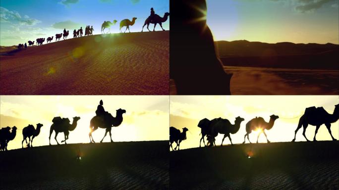 丝绸之路一带一路楼兰沙漠骆驼高清实拍素材