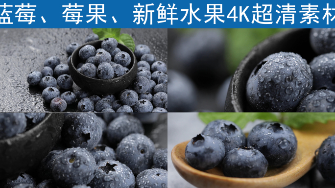 天然健康蓝莓水果4K超清素材