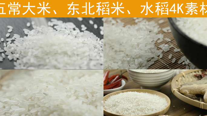 五常大米天然谷物水稻东北大米4K超清素材