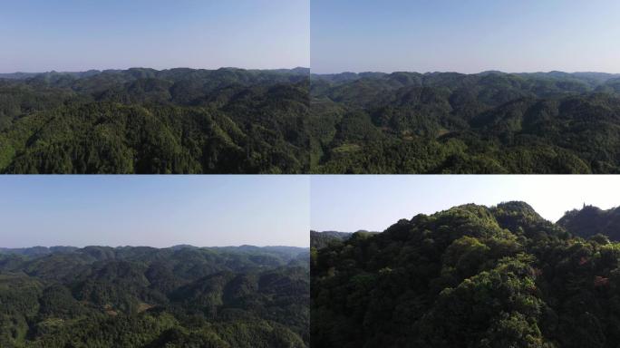 4K航拍4组森林远景