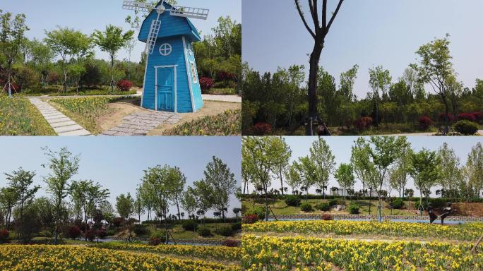 山东济南济阳黄河健身公园
