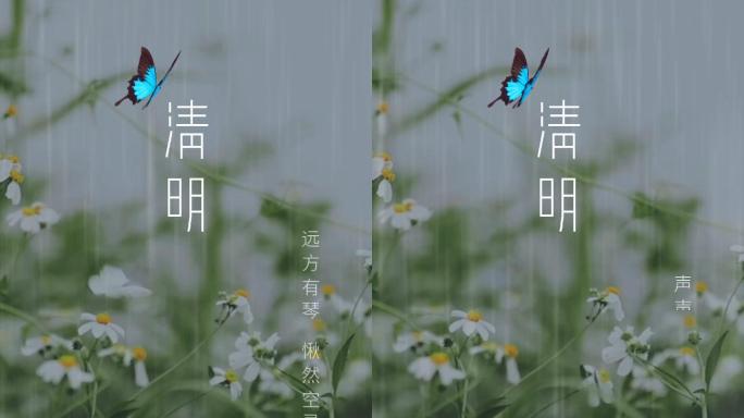 雨中的蝴蝶