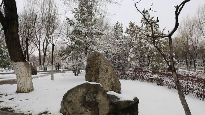 呼和浩特风景雪景公园空镜头视频