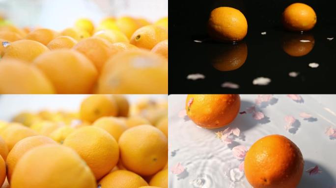 水果甜橙