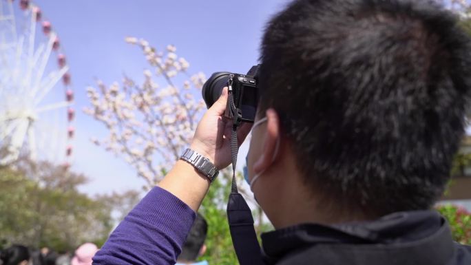 春季花开正当时