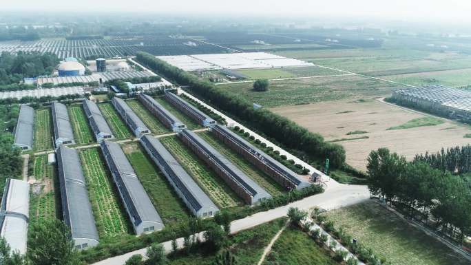 科技太阳能板新能源农村建设