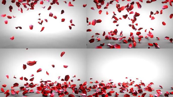 玫瑰花瓣沉浸式投影墙面素材