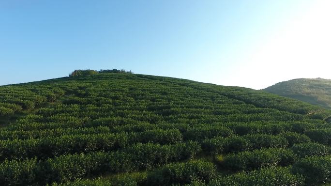 高清风景视频素材