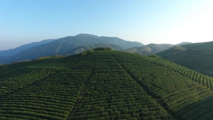 高清风景视频素材