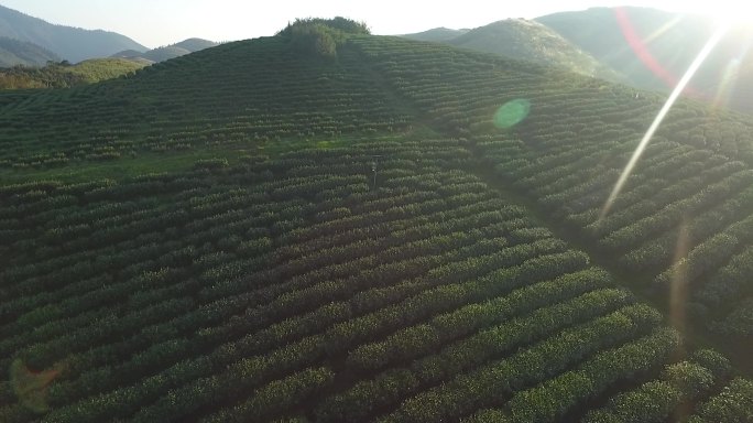 高清风景视频素材