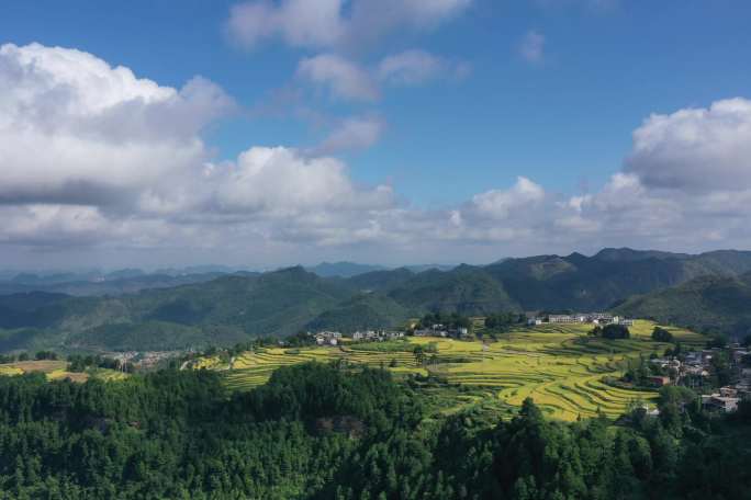 4K贵阳高坡梯田航拍延时