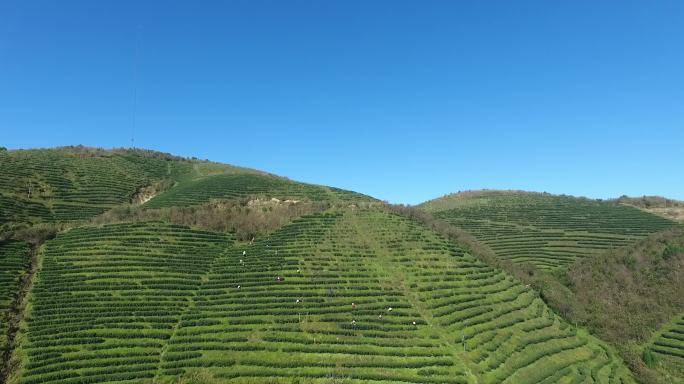 高清风景视频素材