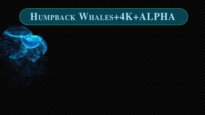 4K鲸鱼粒子动画-带通道