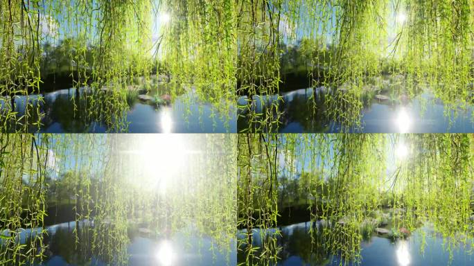 柳树池塘阳光倒影湖边三维动画