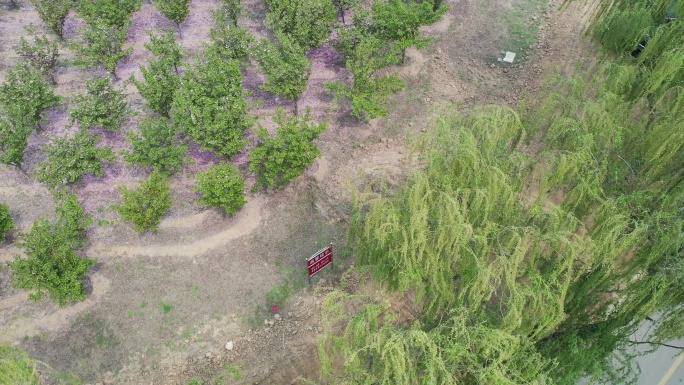 航拍山东齐河李家岸闸管所