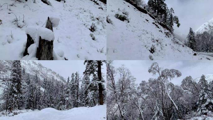 川西高原原始森林唯美雪景4K实拍