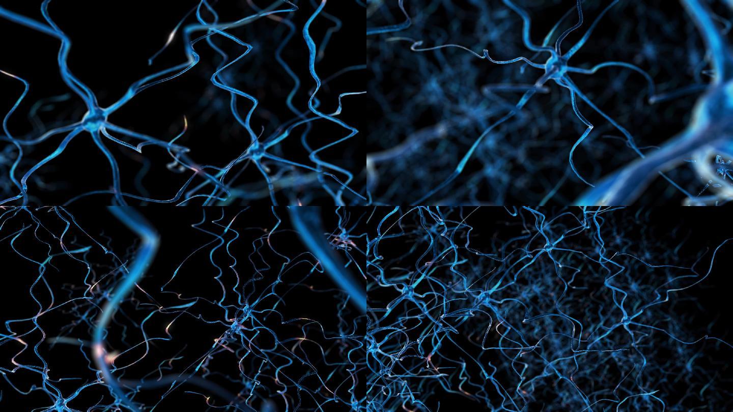 神经元电波传输大脑