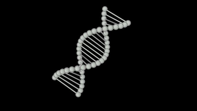 DNA循环旋转3D带通道
