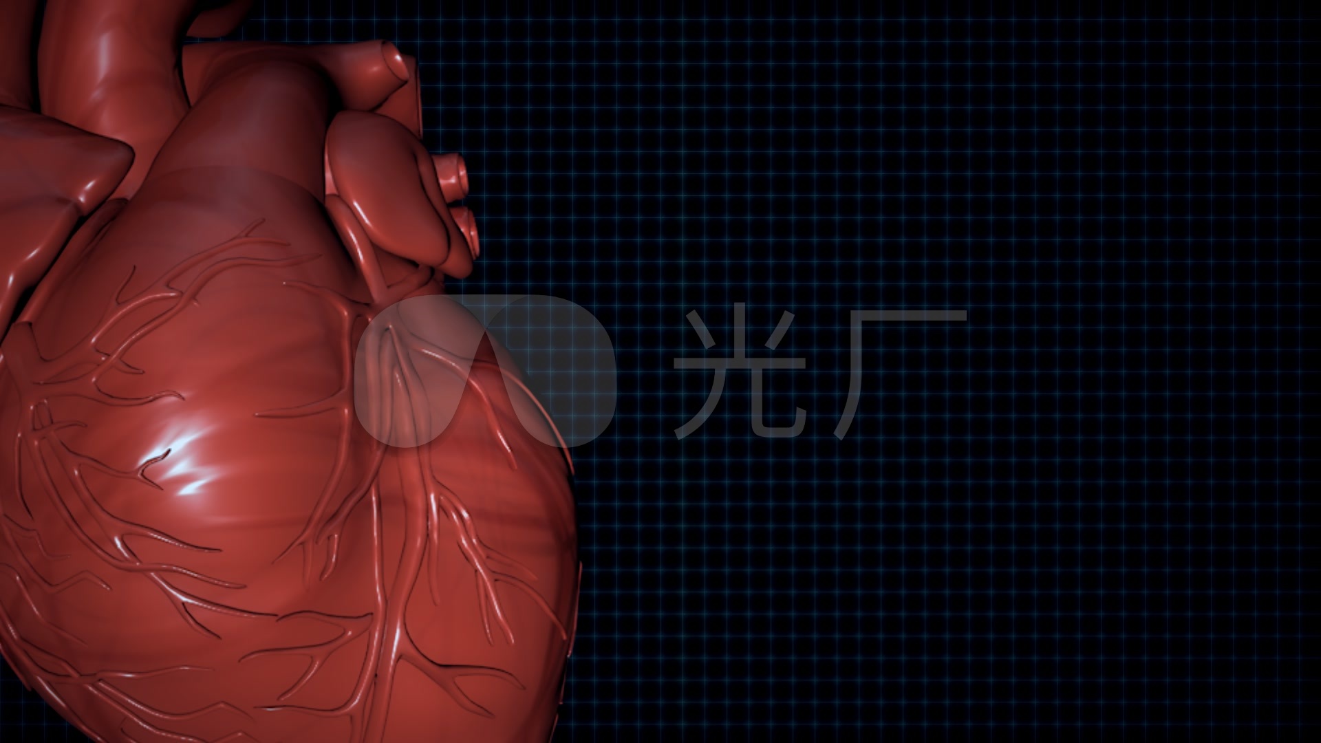 心脏供血动画_1920X1080_高清视频素材下载(编号:2943774)_实拍视频_光厂(VJ师网) www.vjshi.com