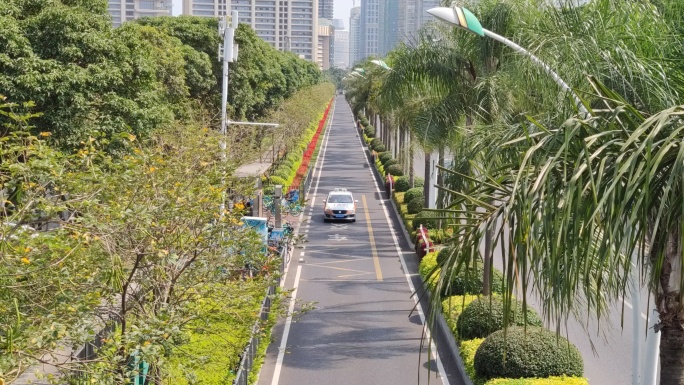 公交车道辅路城市主干道绿化4K