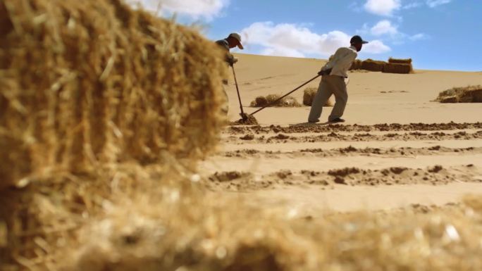 沙漠防沙治沙种植绿化脚步