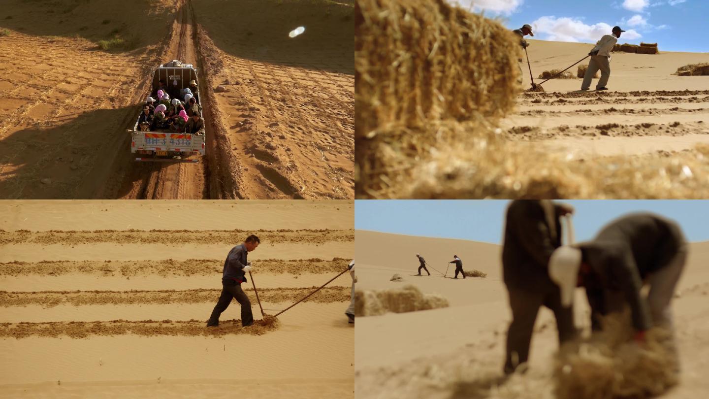 沙漠防沙治沙种植绿化脚步