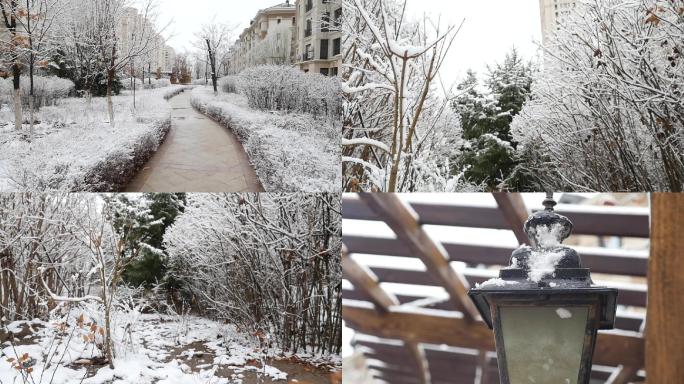 小区下雪雪景树挂冬天唯美