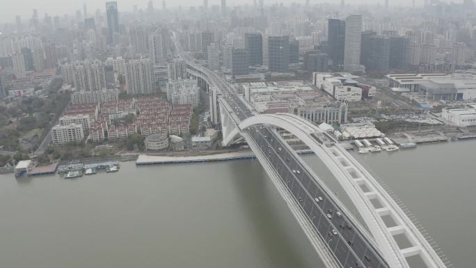 上海卢浦大桥dlog4K航拍