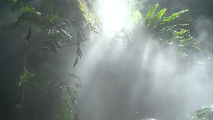 高清实拍唯美大气雨林森林阳光喷雾林中瀑布