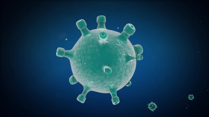 三维病毒细胞
