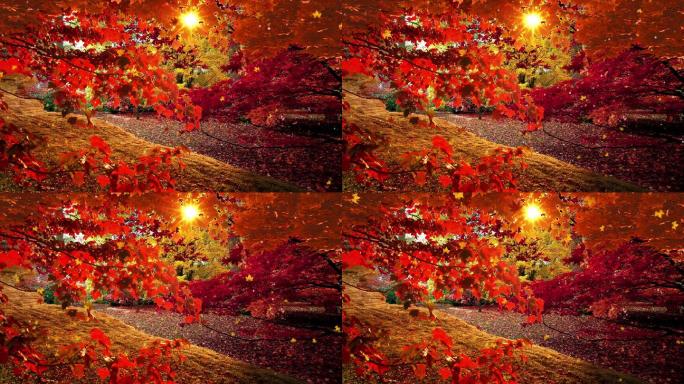4K秋季枫叶背景循环