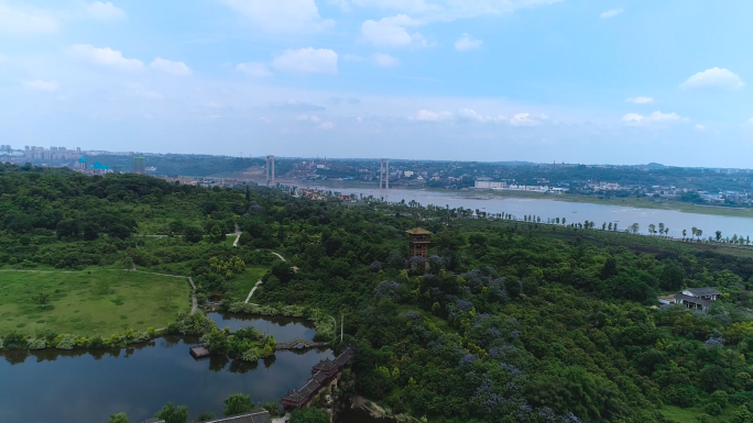 泸州张坝桂圆林风景区航拍