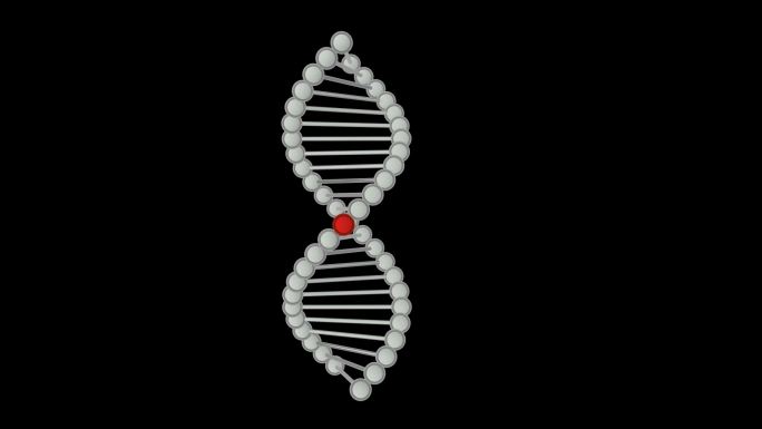 循环通道基因突变DNA突变